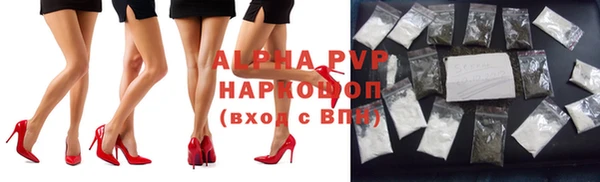 гидра Алзамай