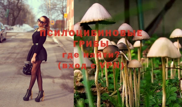 не бодяженный Алексеевка