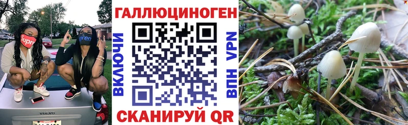 MEGA вход  Краснообск  Галлюциногенные грибы ЛСД 